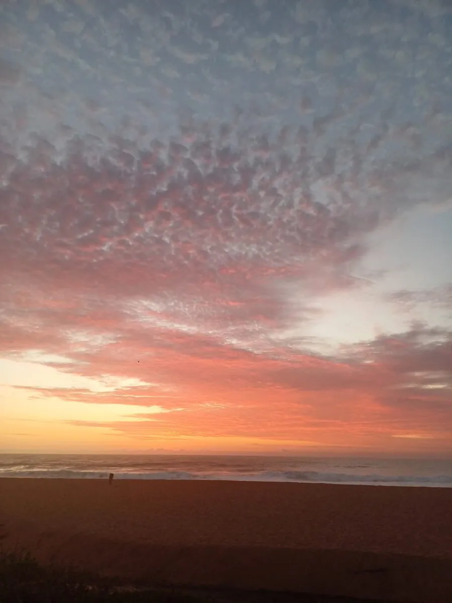 Community rhythm on the coast