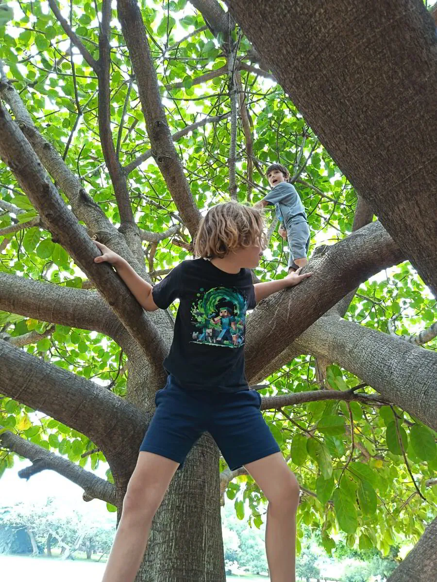 Children climbing a tree